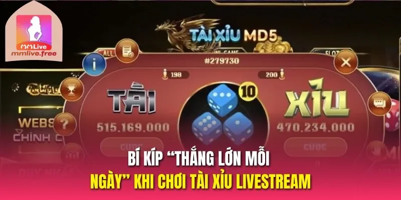 Bí kíp “thắng lớn mỗi ngày” khi chơi tài xỉu livestream